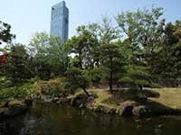 ホテル周辺の舞浜の施設 海浜幕張公園